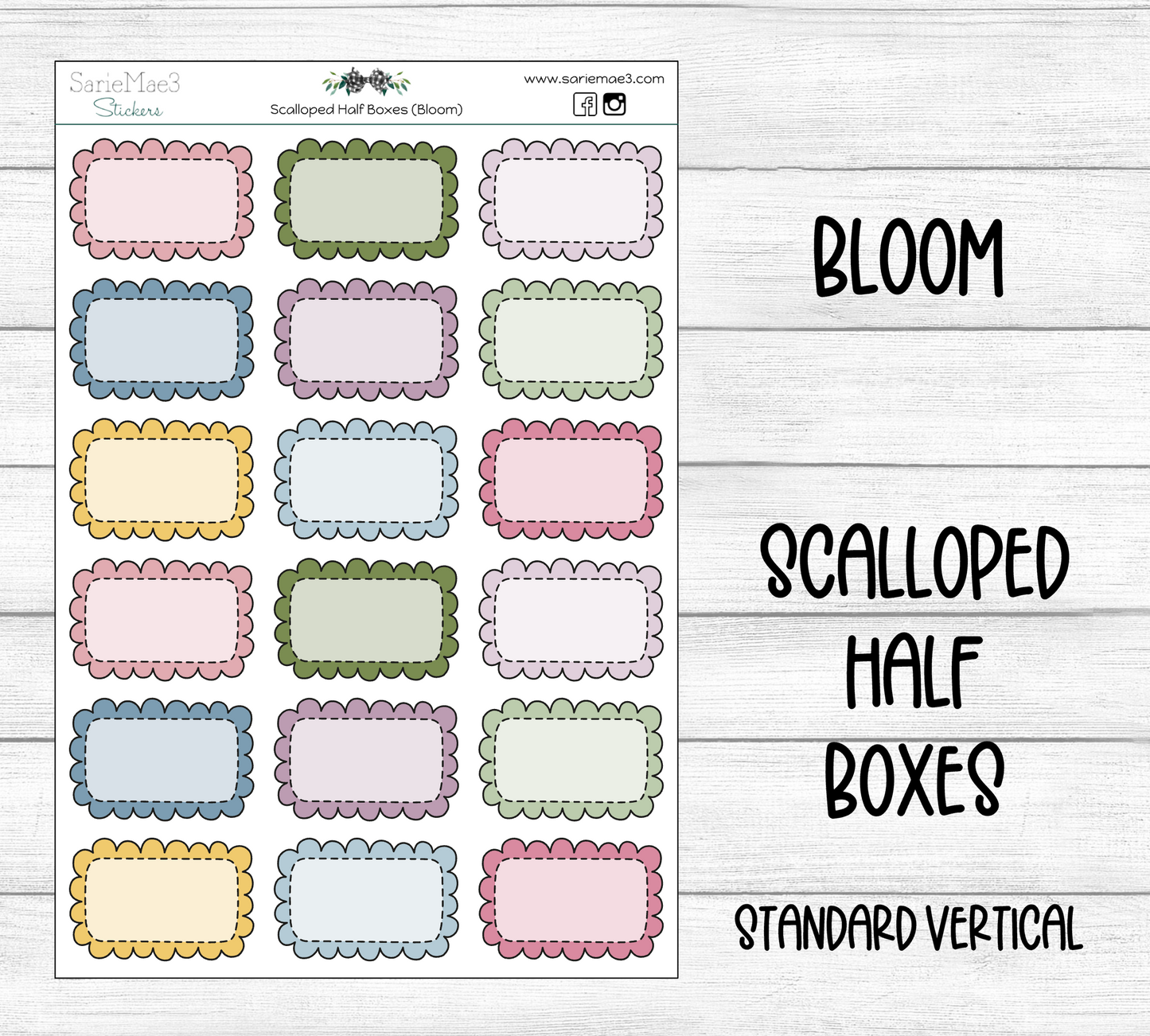 Scalloped Half Boxes (Bloom)