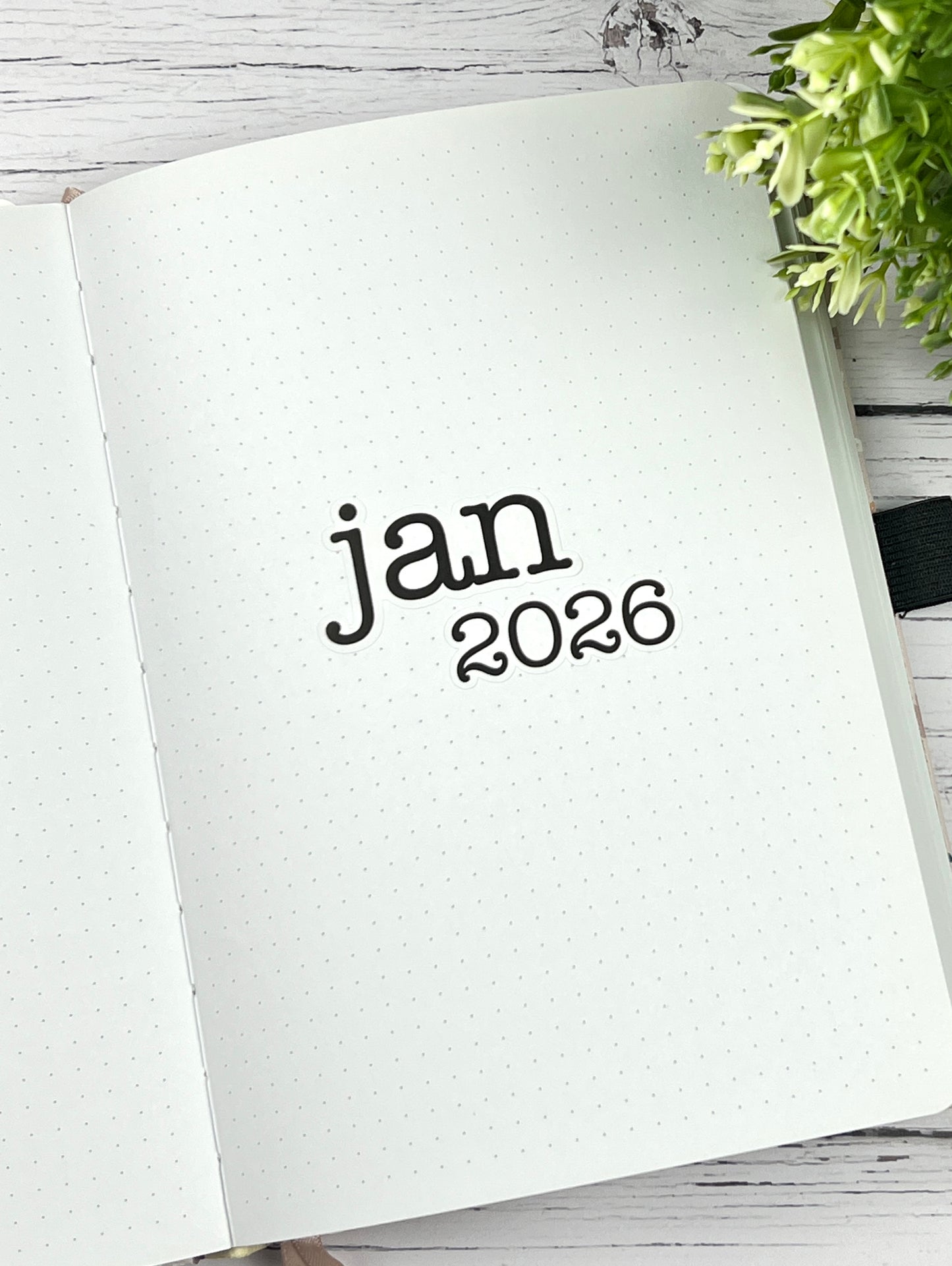 2026 Months (Typewriter)