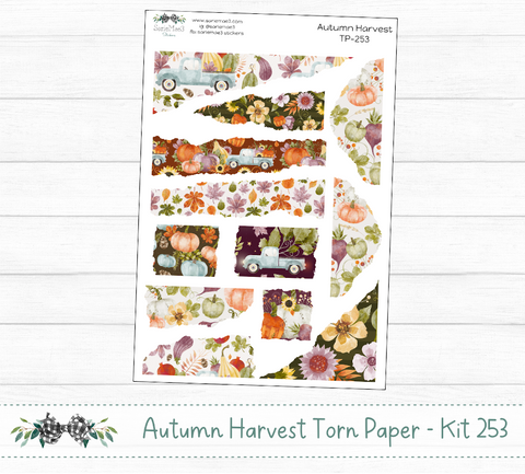 Autumn Harvest Torn Paper (Kit 253)