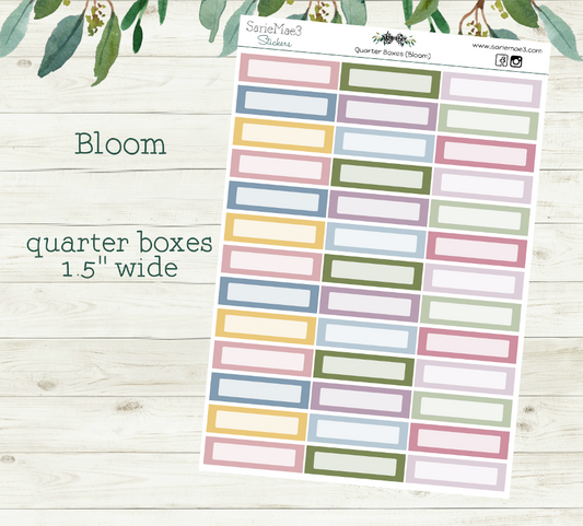 Quarter Boxes (Bloom)