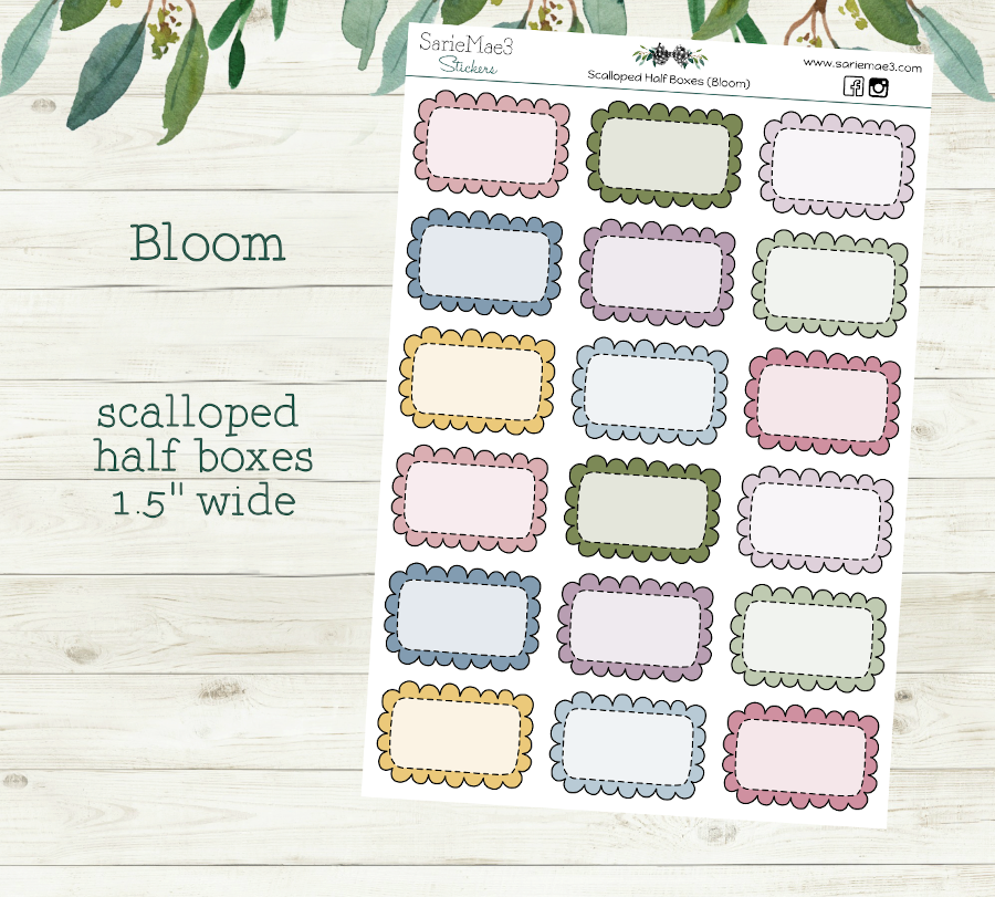 Scalloped Half Boxes (Bloom)