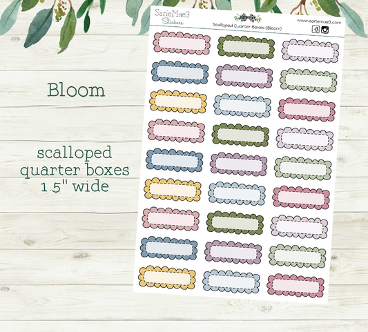 Scalloped Quarter Boxes (Bloom)