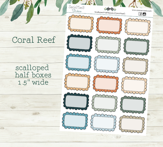 Scalloped Half Boxes (Coral Reef)