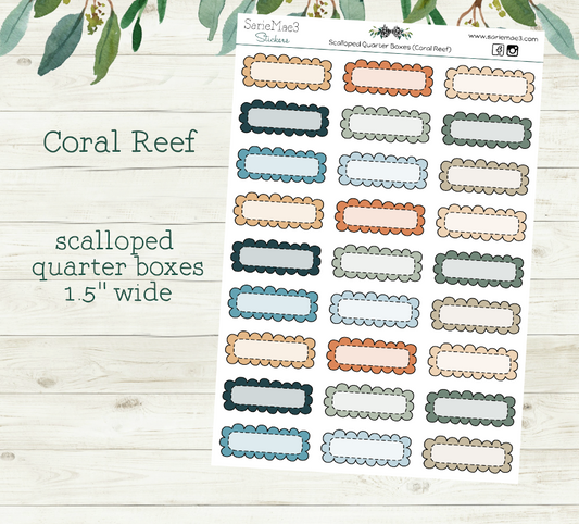 Scalloped Quarter Boxes (Coral Reef)