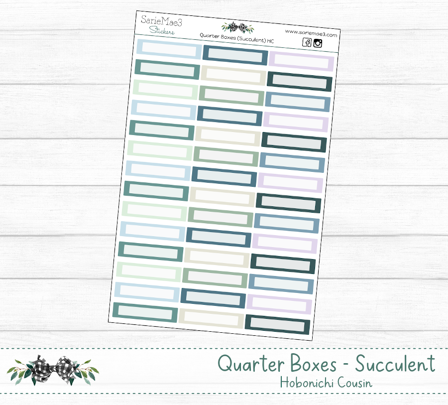 Quarter Boxes (Succulent) Hobo Cousin